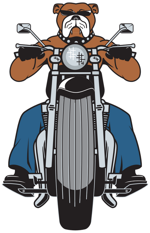 "Dog on Bike" flyer art